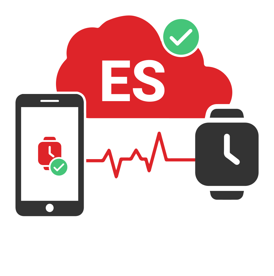 Companion Device Pairing details